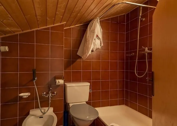 Chesa Panorama - Celerina Apartament